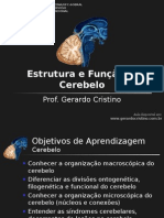 Aula Estrutura e Função Do Cerebelo