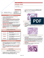 Lecture 2 Epithelial Tissue