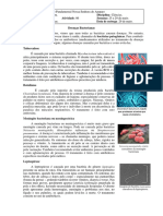 Exercícios 6 de Ciências 7º Ano - Doenças Bacterianas