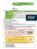 SECUENCIA DE ACTIVIDAD - CIENCIA Y AMBIENTE (Plantas Nativas)