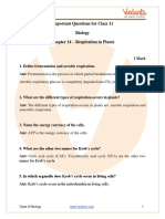 CBSE Class 11 Biology Chapter 14 - Respiration in Plants Important Questions 2022-23