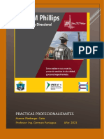 Practicas Profecionalizantes