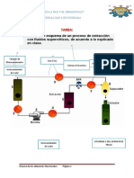 Extracto de La Vitamina e Por Fluidos Supercriticos Del Germen de Trigo