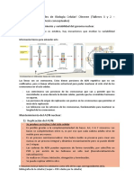 Síntesis Conceptuales de Biología Celular 2023