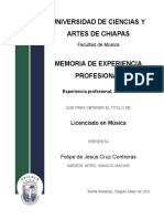 Memoria de Experiencia Profesional-Pipesaurio