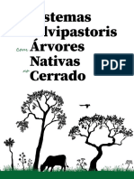 Bruziguessi (2021) Sistemas Silvipastoris Com Árvores Nativas No Cerrado