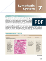 Lymphatic System Histology