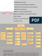 Organizador Grafico - Jose Avila