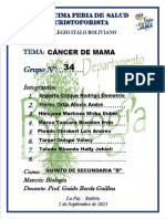 Grupo 34 Cáncer de Mama