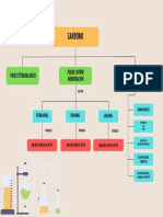 Carbono - Mapa Conceptual