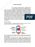 Resumo Sistema Circulatório