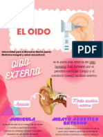 Presentacion Salud Del Cuerpo Humano Ilustracion Rosa