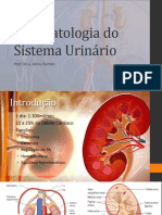 Fisiopatologia Do Sistema Urinario