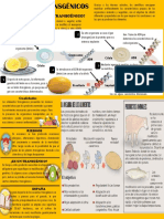 Alimentos Transgenicos