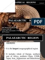 8-Palaeartic Region