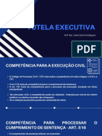 Aula 2 - COMPETNCIA PARA A EXECUO CIVIL