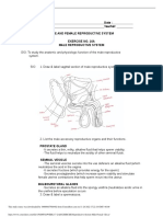 WEEK 17 LAB EXERCISE Reproductive System Male Female 1