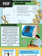 Structure of DNA Science Presentation in Light Blue Green Lined Style