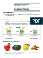 4° Sesión 09 U03 Lípidos - Ficha de Trabajo