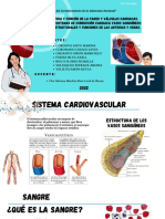 Sistema Cardiovascular