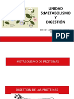 Parte 2. UNIDAD 5. METABOLISMO GLICOLISIS - LIPOLISIS