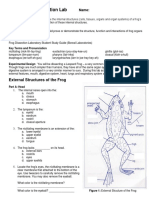 U3A1 Frog Dissection Lab
