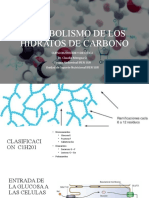 Metabolismo de Los Hidratos de Carbono