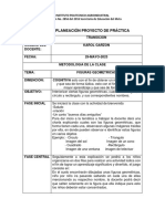 Formato Planeación Proyecto de Práctica Karol