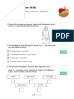 Quiz Science YR4 Digestion Feb22