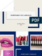 Seminario Labiales