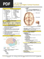 Cerebral Cortex and Higher Cortical Functions