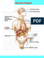 Endo I 2005 Pix