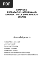 Hema II Chapter 7 - BM Examination