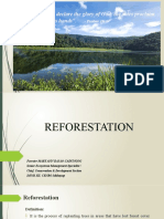 Reforestation