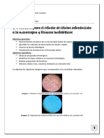 TP1 BCBM