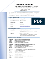 Modelo de CURRICULUM VITAE