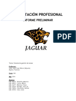 5B7 Informe Preliminar Caso JAGUAR