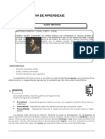 4º Ficha de Aprendizaje LA NEURONA El-Tejido-Nervioso 27-06-23