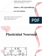 Plasticidad Neuronal