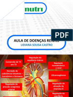 Aula Renal Gabanutri-1