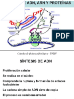 de Síntesis de Macromoléculas 4