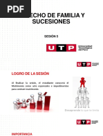 s05.s1 - Material Familia y Sucesiones-Nulidad