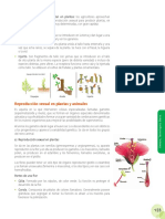 Ficha de Lectura Reproduccion Sexual de Las Plantas