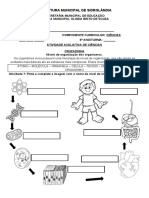 6 Ano - Ativ - Niveis Organizacao