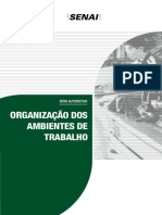 Anização Dos Ambientes de Trabalho: Série Automotiva