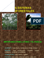 LOS SISTEMAS AGROFORESTALES J