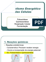 Metabolismo Energc3a9tico Das Cc3a9lulas