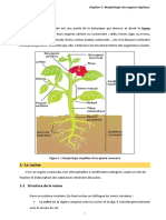 Biologie Végétale, Chapitre 4 (Partie1)