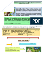 TEMA 3 Laudato Si