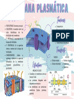 Infografía Membrana Plasmática